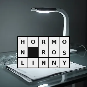 Rozwiązanie krzyżówki: fitohormon bioregulator roślinny związek organiczny należący do regulatorów wzrostu i rozwoju roślin - hormon roślinny | hasła, synonimy i podpowiedzi Hasło krzyżówkowe fitohormon bioregulator roślinny związek organiczny należący do regulatorów wzrostu i rozwoju roślin - hormon roślinny – rozwiązanie, synonimy, podpowiedzi i definicje krzyżówkowe